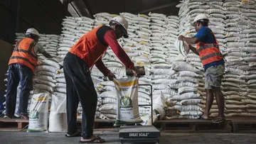 Bulog Sudah Amankan 88 Lokasi untuk Pembangunan 100 Gudang dan Penggilingan Baru