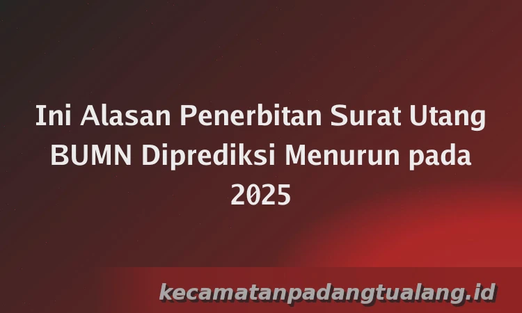 Ini Alasan Penerbitan Surat Utang BUMN Diprediksi Menurun pada 2025