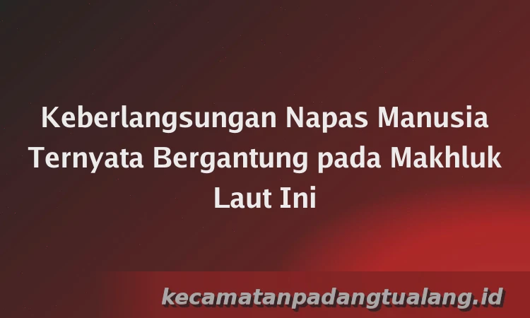 Keberlangsungan Napas Manusia Ternyata Bergantung pada Makhluk Laut Ini
