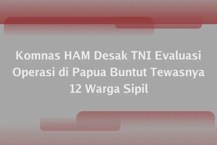 Komnas HAM Desak TNI Evaluasi Operasi di Papua Buntut Tewasnya 12 Warga Sipil