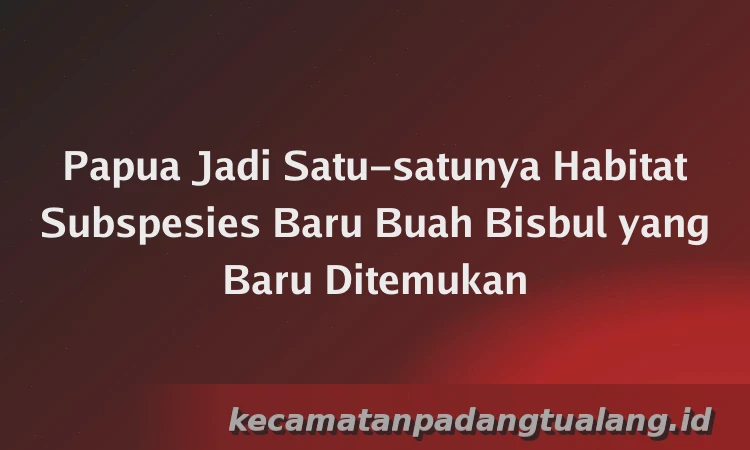 Papua Jadi Satu-satunya Habitat Subspesies Baru Buah Bisbul yang Baru Ditemukan