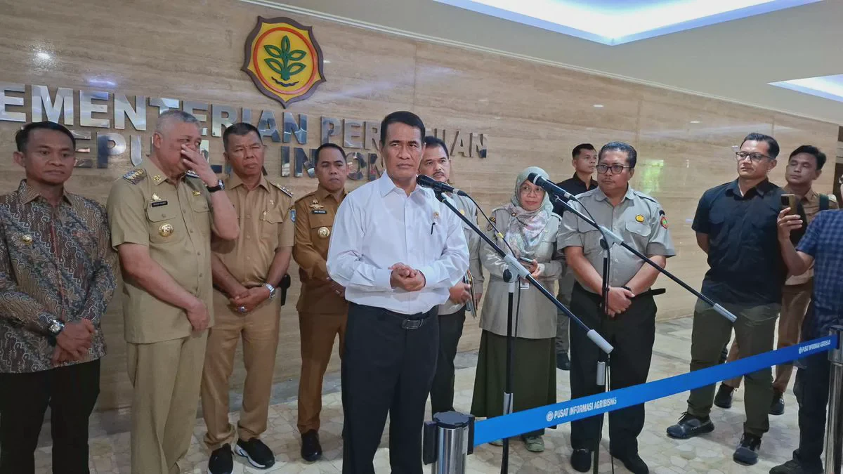 Respons Mentan Amran Terkait Dampak Fenomena El Nino Godzilla Terhadap Produksi Beras Nasional