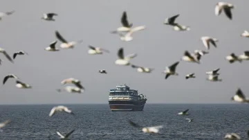 Update Kondisi Dua Kapal Pertamina Setelah Selat Hormuz Kembali Ditutup